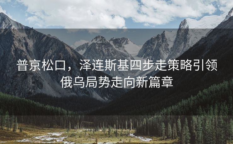 普京松口，泽连斯基四步走策略引领俄乌局势走向新篇章