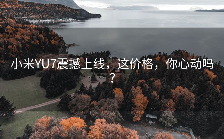 小米YU7震撼上线，这价格，你心动吗？