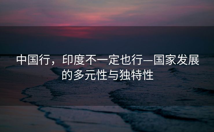 中国行，印度不一定也行—国家发展的多元性与独特性