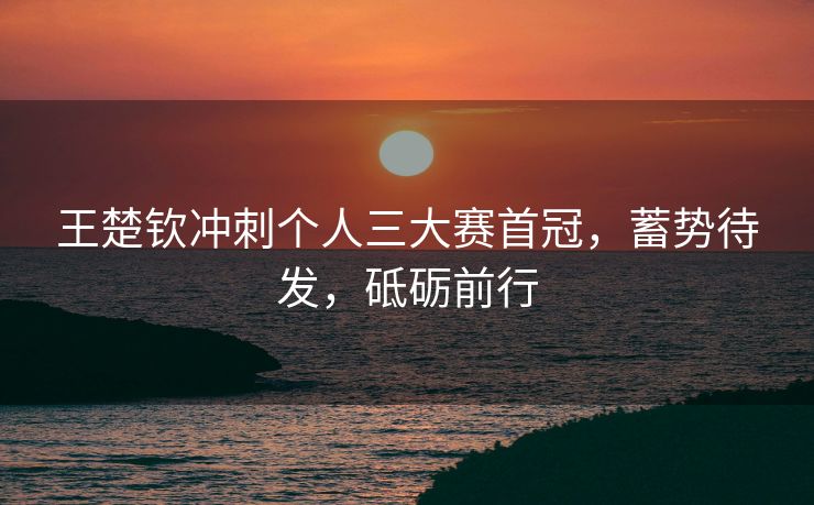 王楚钦冲刺个人三大赛首冠，蓄势待发，砥砺前行