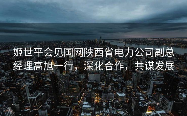 姬世平会见国网陕西省电力公司副总经理高旭一行，深化合作，共谋发展