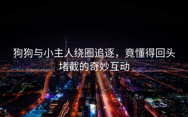狗狗与小主人绕圈追逐，竟懂得回头堵截的奇妙互动