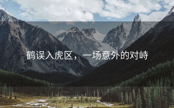 鹤误入虎区，一场意外的对峙