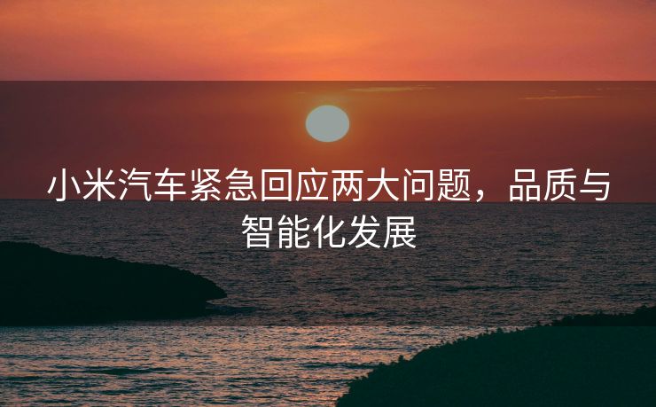 小米汽车紧急回应两大问题，品质与智能化发展