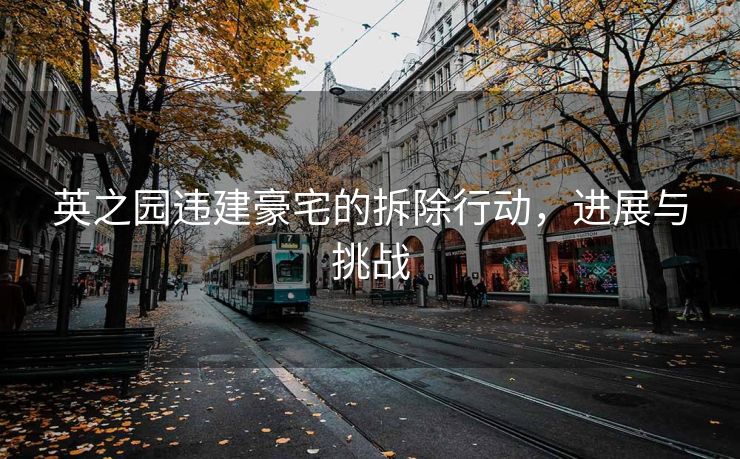 英之园违建豪宅的拆除行动，进展与挑战
