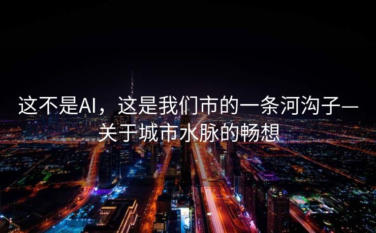 这不是AI，这是我们市的一条河沟子—关于城市水脉的畅想