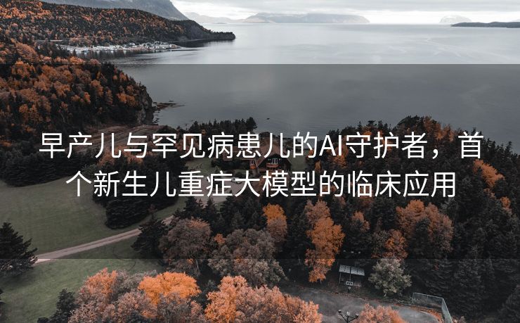 早产儿与罕见病患儿的AI守护者，首个新生儿重症大模型的临床应用