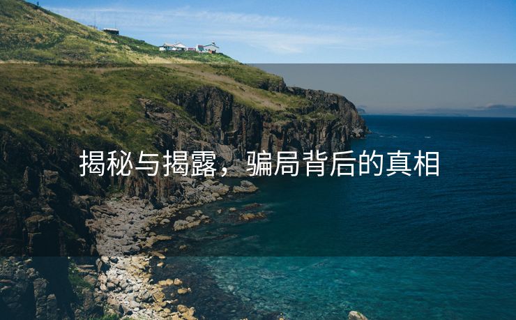 揭秘与揭露，骗局背后的真相