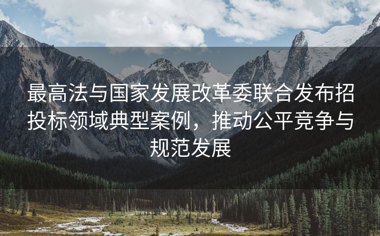 最高法与国家发展改革委联合发布招投标领域典型案例，推动公平竞争与规范发展
