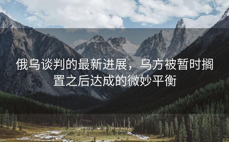 俄乌谈判的最新进展，乌方被暂时搁置之后达成的微妙平衡