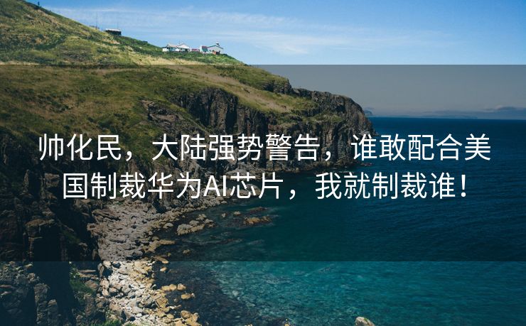 帅化民，大陆强势警告，谁敢配合美国制裁华为AI芯片，我就制裁谁！