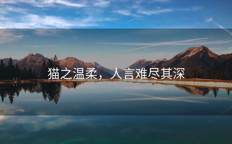 猫之温柔，人言难尽其深