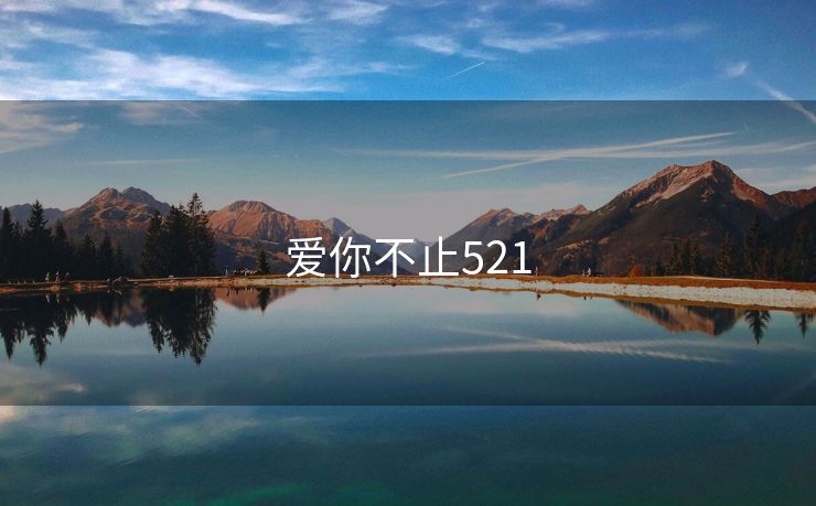 爱你不止521