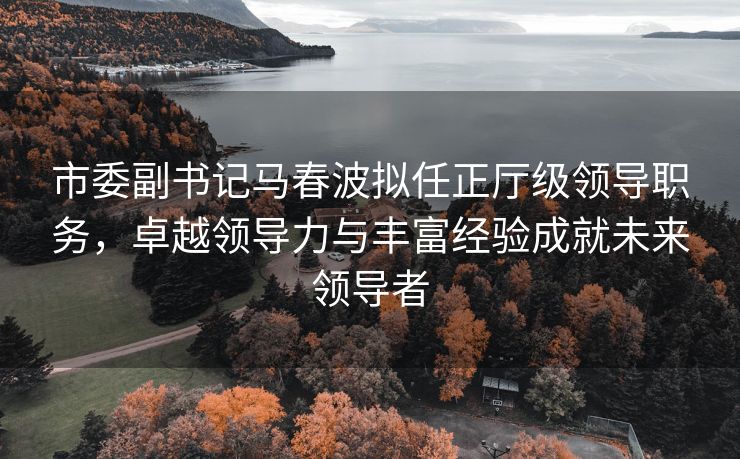 市委副书记马春波拟任正厅级领导职务，卓越领导力与丰富经验成就未来领导者