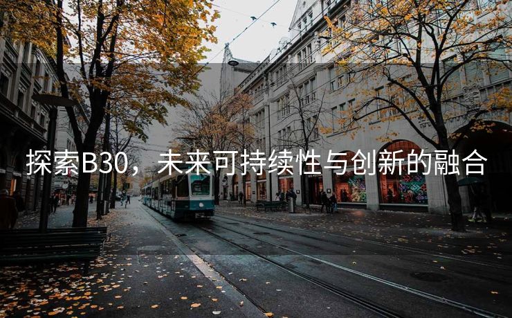 探索B30，未来可持续性与创新的融合