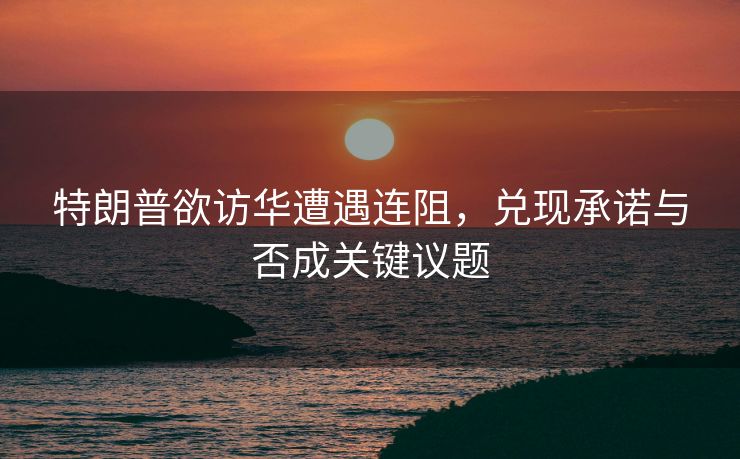 特朗普欲访华遭遇连阻，兑现承诺与否成关键议题