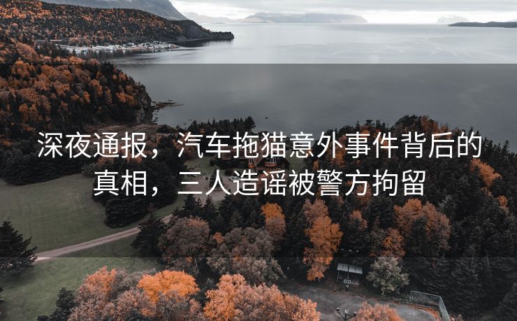 深夜通报，汽车拖猫意外事件背后的真相，三人造谣被警方拘留