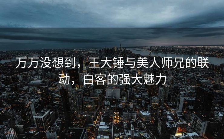 万万没想到，王大锤与美人师兄的联动，白客的强大魅力