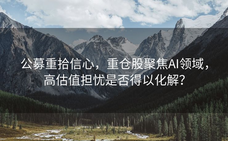 公募重拾信心，重仓股聚焦AI领域，高估值担忧是否得以化解？