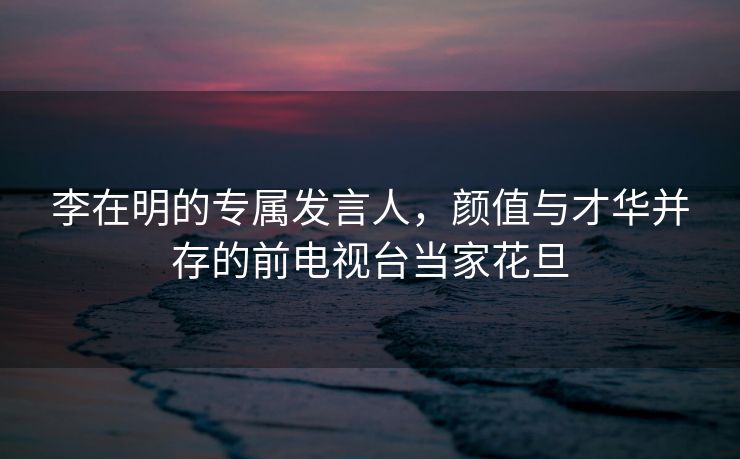 李在明的专属发言人，颜值与才华并存的前电视台当家花旦