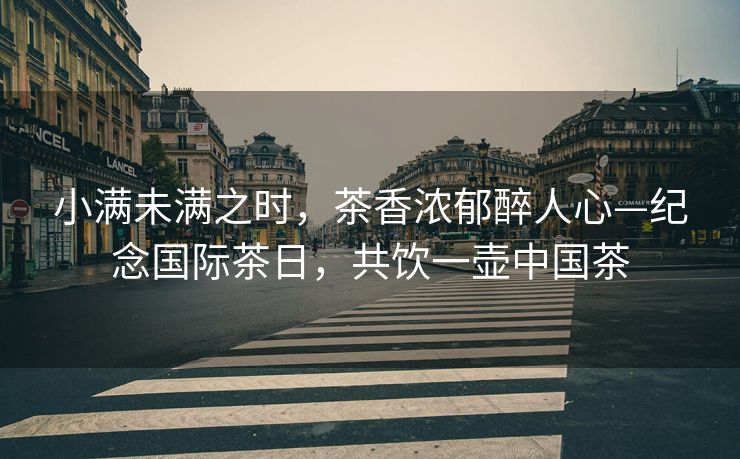 小满未满之时，茶香浓郁醉人心—纪念国际茶日，共饮一壶中国茶