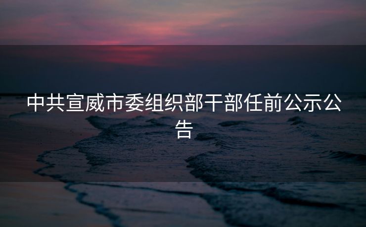 中共宣威市委组织部干部任前公示公告