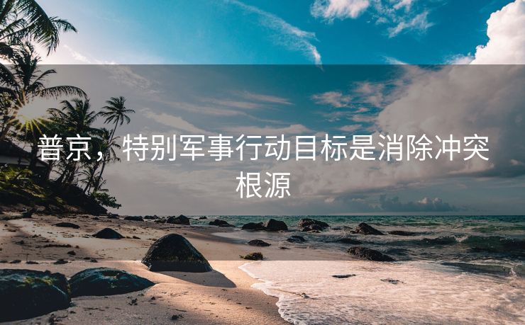 普京，特别军事行动目标是消除冲突根源