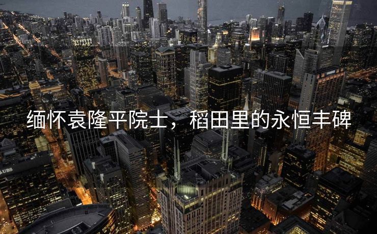 缅怀袁隆平院士，稻田里的永恒丰碑