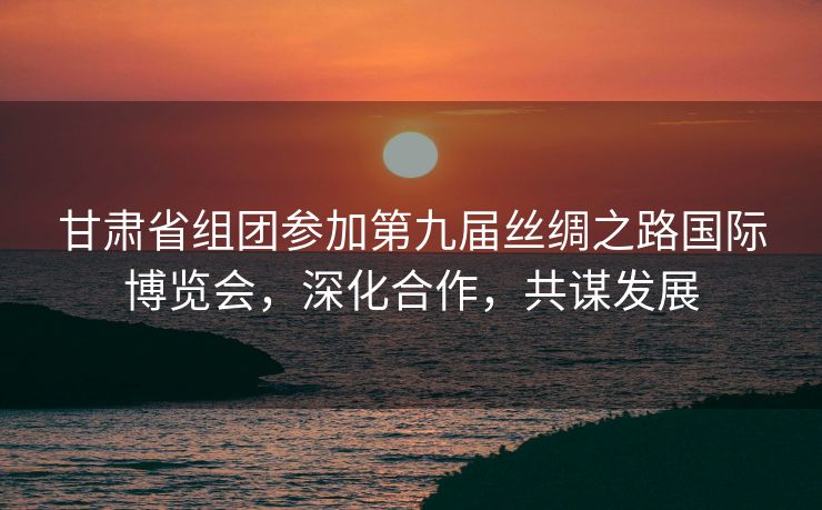 甘肃省组团参加第九届丝绸之路国际博览会，深化合作，共谋发展
