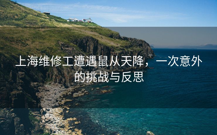 上海维修工遭遇鼠从天降，一次意外的挑战与反思