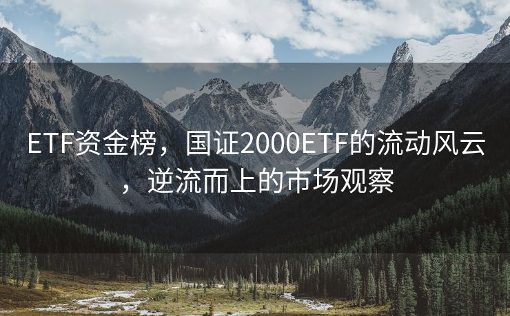 ETF资金榜，国证2000ETF的流动风云，逆流而上的市场观察