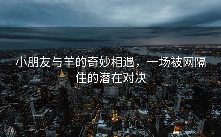 小朋友与羊的奇妙相遇，一场被网隔住的潜在对决