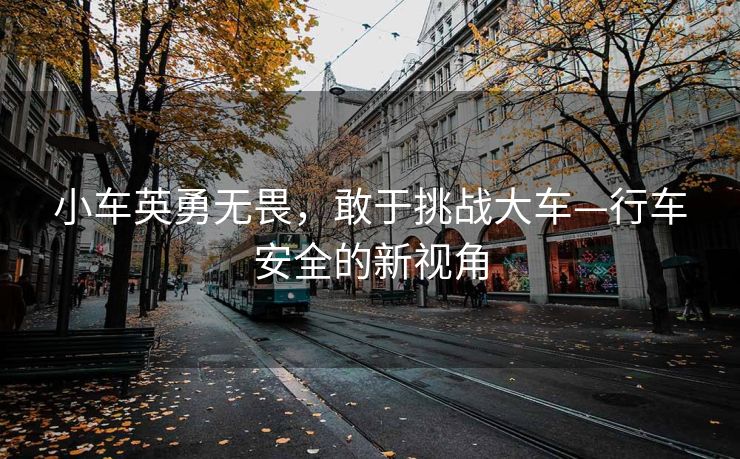 小车英勇无畏，敢于挑战大车—行车安全的新视角