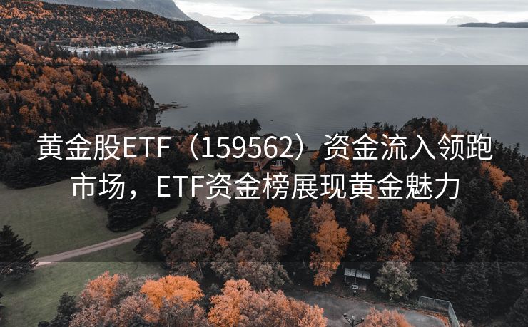 黄金股ETF（159562）资金流入领跑市场，ETF资金榜展现黄金魅力