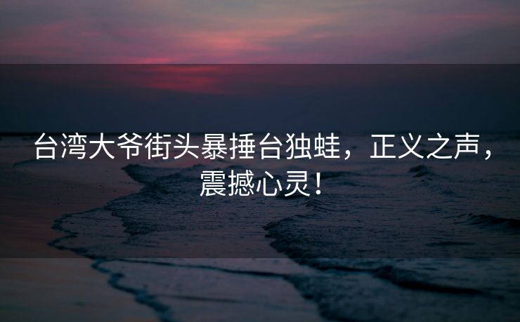 台湾大爷街头暴捶台独蛙，正义之声，震撼心灵！