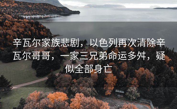 辛瓦尔家族悲剧，以色列再次清除辛瓦尔哥哥，一家三兄弟命运多舛，疑似全部身亡