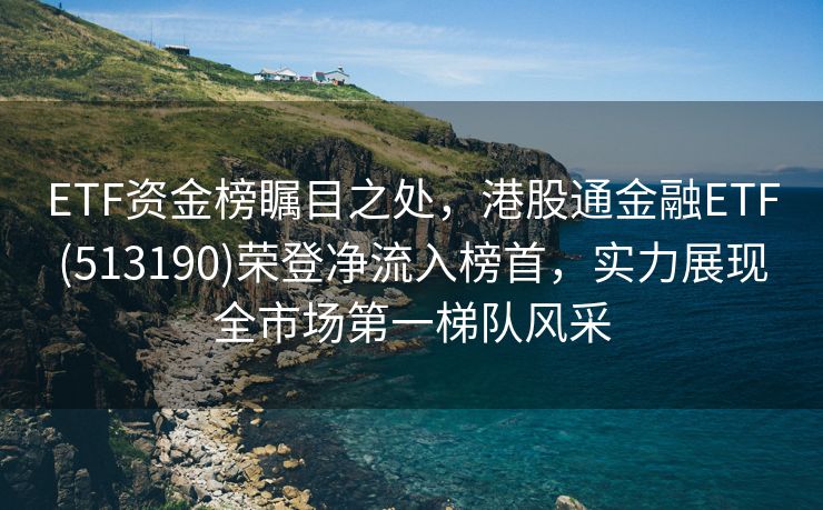 ETF资金榜瞩目之处，港股通金融ETF(513190)荣登净流入榜首，实力展现全市场第一梯队风采