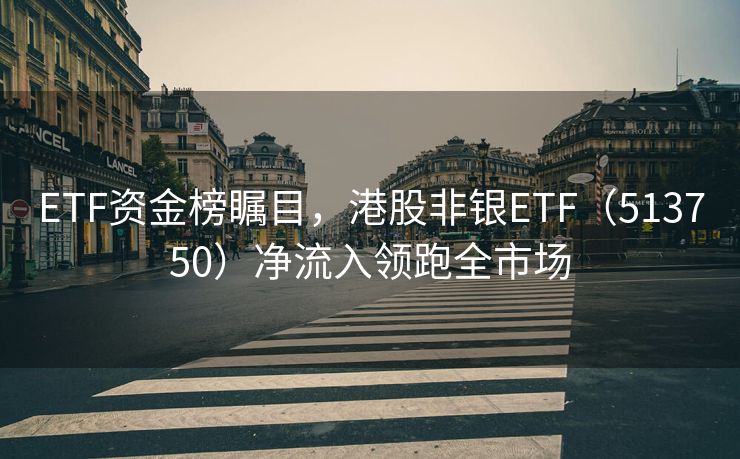 ETF资金榜瞩目，港股非银ETF（513750）净流入领跑全市场
