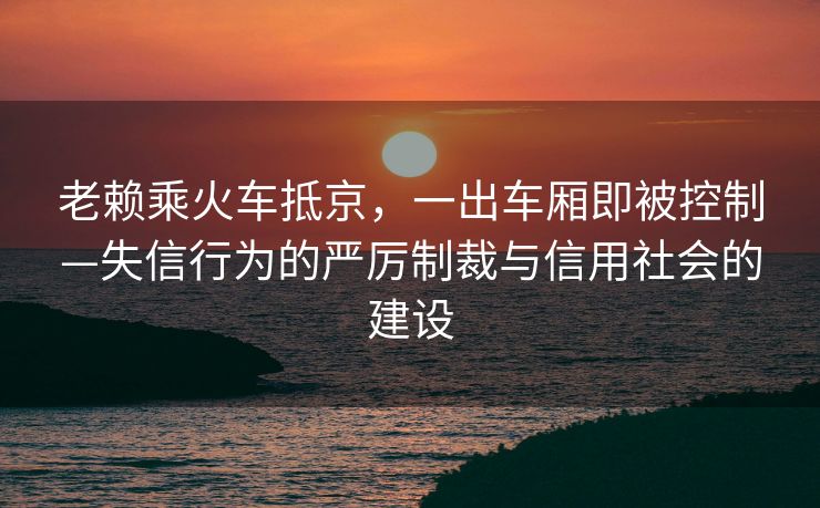 老赖乘火车抵京，一出车厢即被控制—失信行为的严厉制裁与信用社会的建设