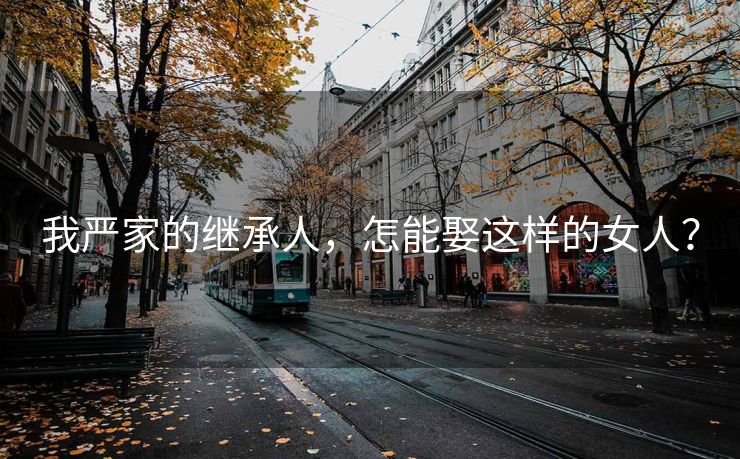 我严家的继承人，怎能娶这样的女人？
