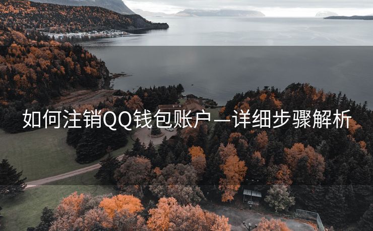 如何注销QQ钱包账户—详细步骤解析