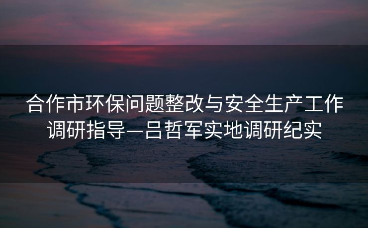 合作市环保问题整改与安全生产工作调研指导—吕哲军实地调研纪实