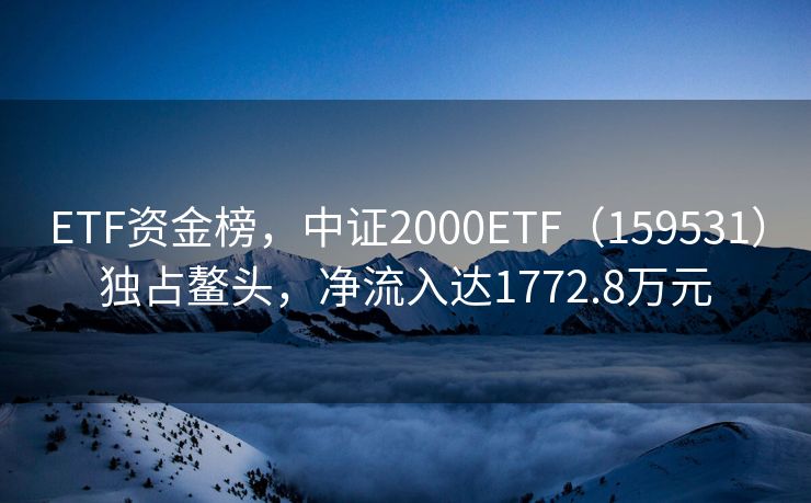 ETF资金榜，中证2000ETF（159531）独占鳌头，净流入达1772.8万元