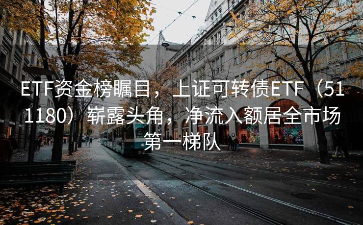 ETF资金榜瞩目，上证可转债ETF（511180）崭露头角，净流入额居全市场第一梯队