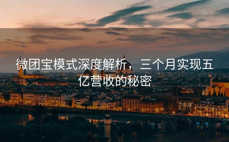 微团宝模式深度解析，三个月实现五亿营收的秘密
