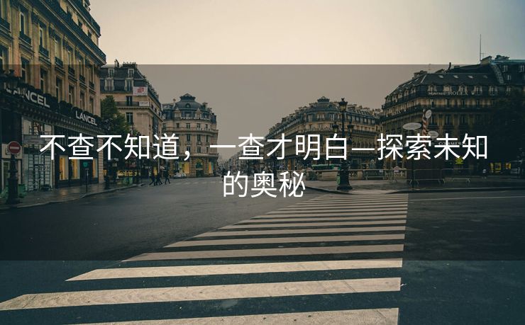 不查不知道，一查才明白—探索未知的奥秘
