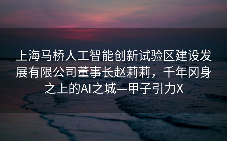 上海马桥人工智能创新试验区建设发展有限公司董事长赵莉莉，千年冈身之上的AI之城—甲子引力X