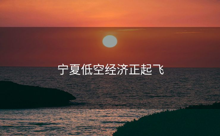 宁夏低空经济正起飞