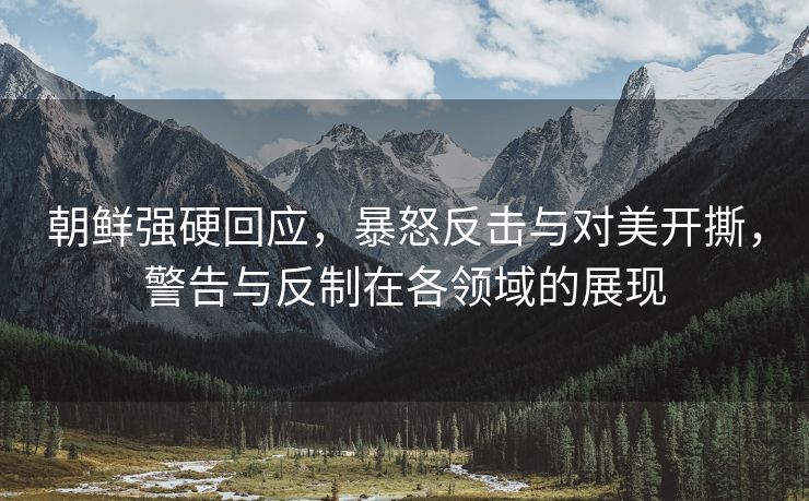 朝鲜强硬回应，暴怒反击与对美开撕，警告与反制在各领域的展现