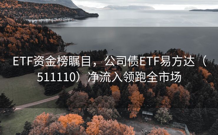 ETF资金榜瞩目，公司债ETF易方达（511110）净流入领跑全市场